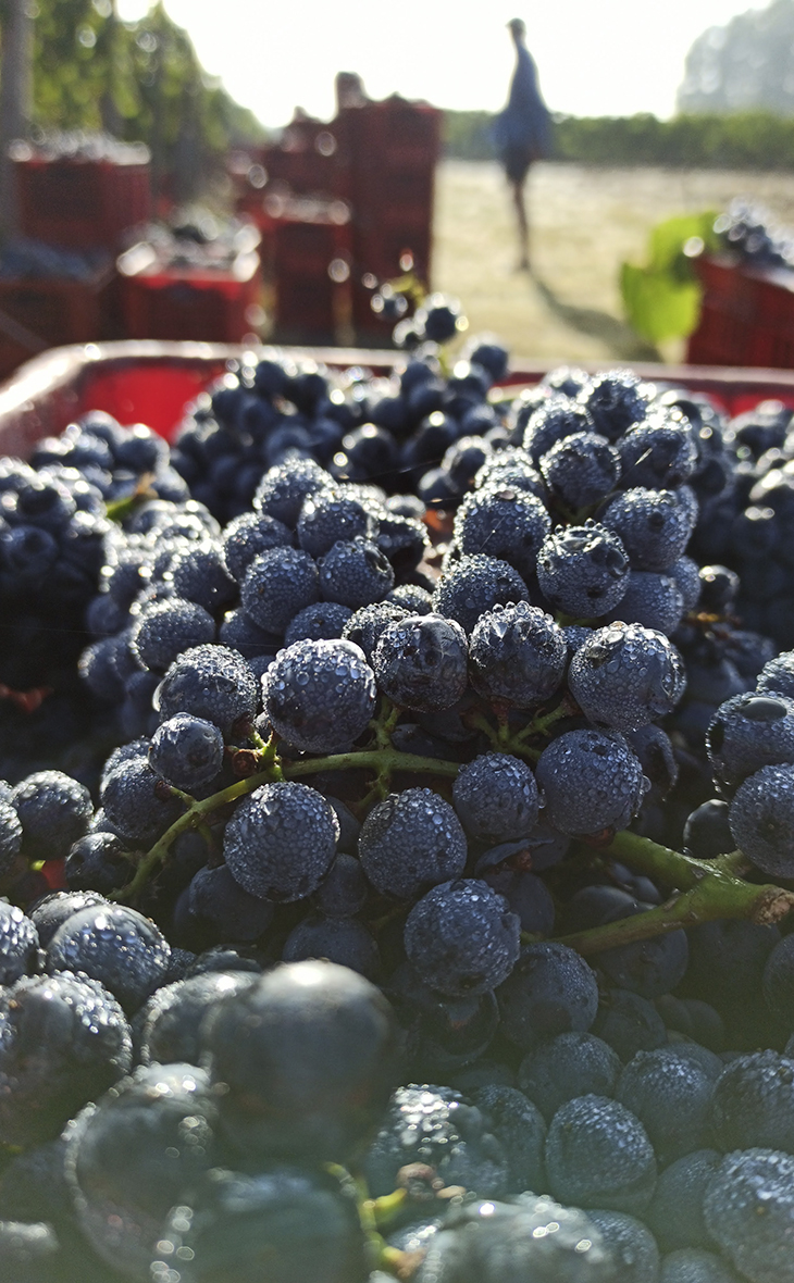 02-bodega_img-3_cambio